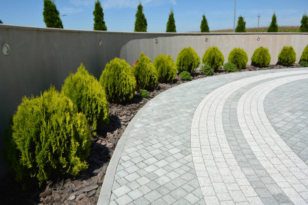 Best Decorative Driveway Pavers  in Copperas Cove, TX